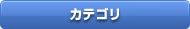 カテゴリ
